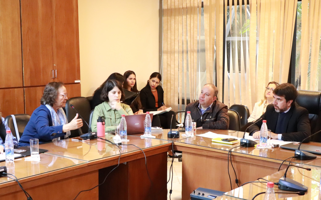 MITIC presente en análisis del proyecto de ley sobre acceso a internet