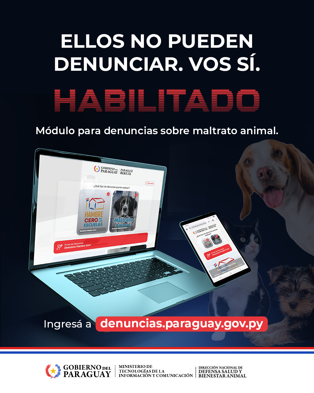 Portal de Denuncias del Gobierno suma herramienta para reportar maltrato animal