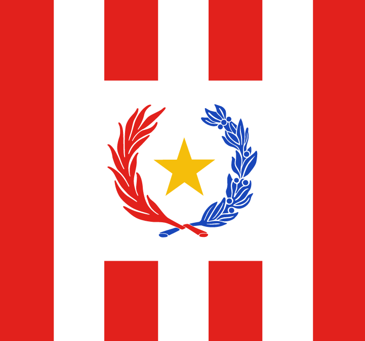 El Gobierno del Paraguay se viste de Albirrojo para acompañar a la Selección en el mundial