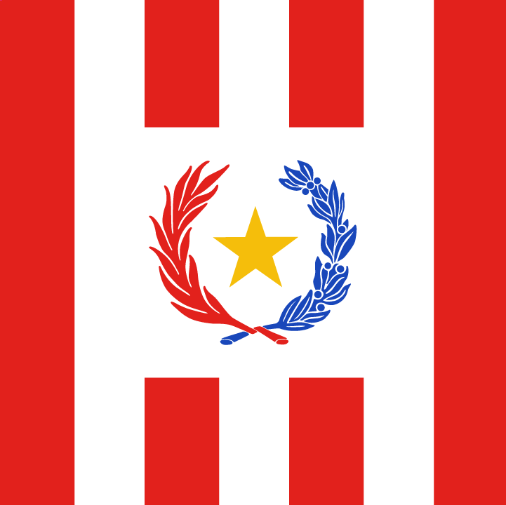 El Gobierno del Paraguay se viste de Albirrojo para acompañar a la Selección en el mundial